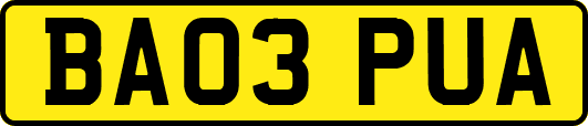 BA03PUA
