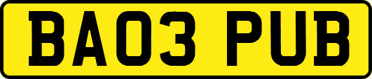 BA03PUB