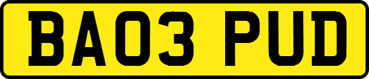 BA03PUD