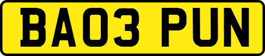 BA03PUN