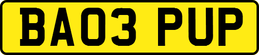 BA03PUP