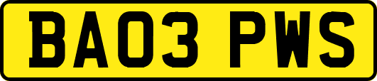 BA03PWS