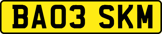 BA03SKM