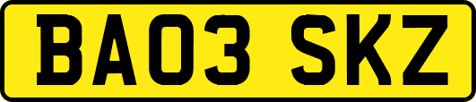 BA03SKZ