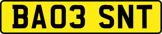 BA03SNT