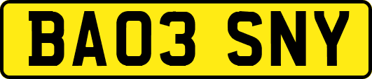 BA03SNY