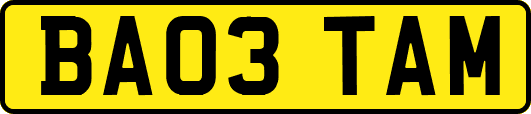 BA03TAM