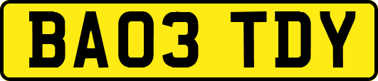 BA03TDY