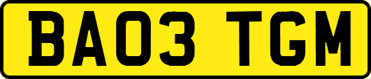BA03TGM