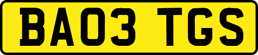 BA03TGS