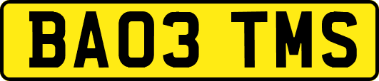 BA03TMS