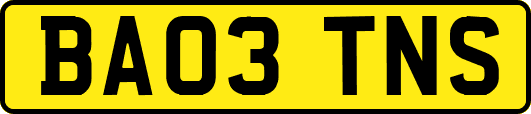 BA03TNS