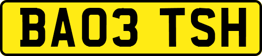 BA03TSH