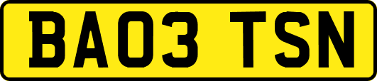 BA03TSN