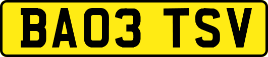 BA03TSV