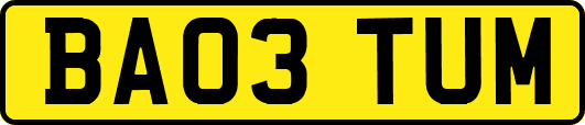 BA03TUM