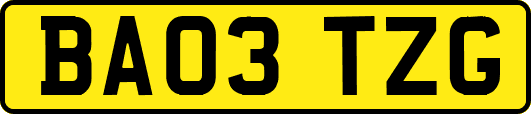 BA03TZG