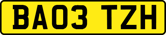 BA03TZH