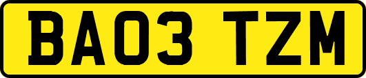 BA03TZM