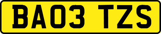 BA03TZS