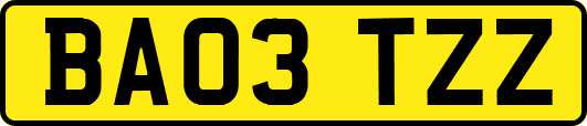 BA03TZZ