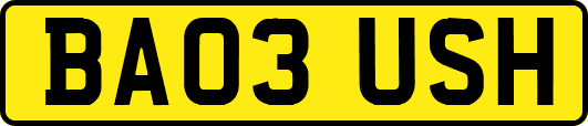 BA03USH
