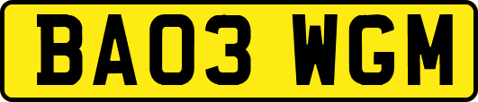 BA03WGM