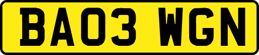 BA03WGN
