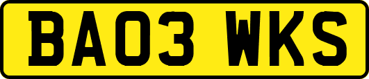 BA03WKS