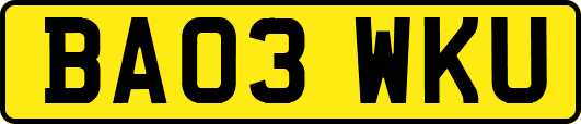 BA03WKU