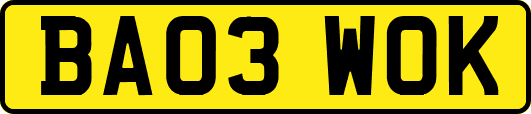 BA03WOK