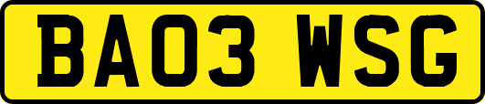 BA03WSG