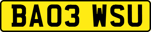 BA03WSU