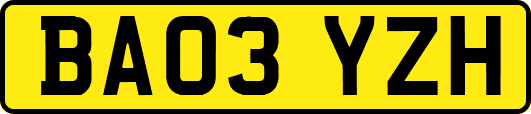 BA03YZH