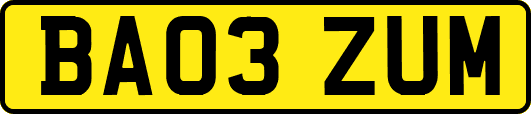 BA03ZUM