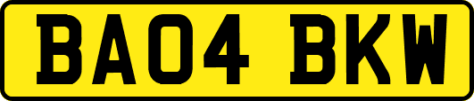 BA04BKW