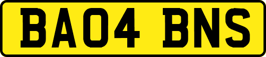 BA04BNS