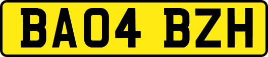 BA04BZH