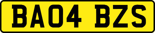 BA04BZS