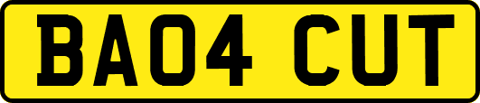 BA04CUT