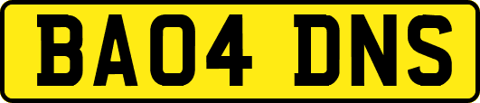 BA04DNS