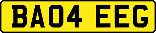 BA04EEG