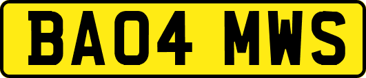 BA04MWS