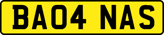 BA04NAS