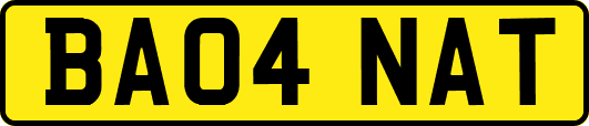 BA04NAT