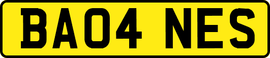 BA04NES