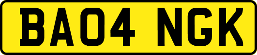 BA04NGK