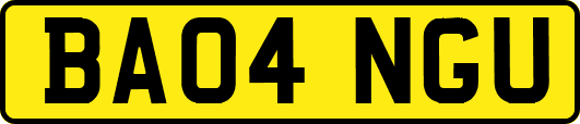 BA04NGU