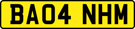 BA04NHM