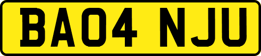 BA04NJU